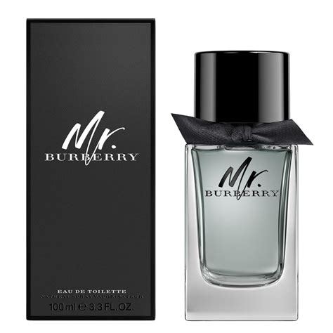 burberry beauty mr burberry|burberry mr burberry edt 100ml.